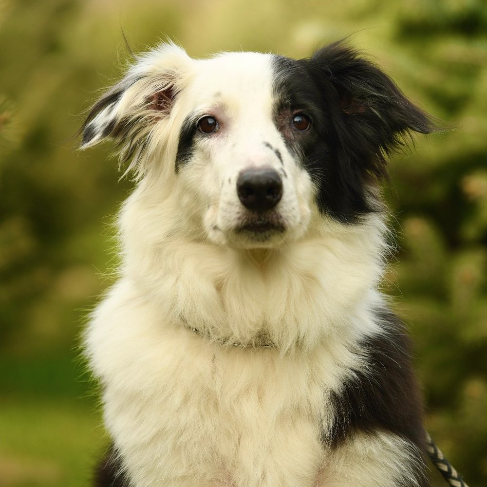 Meet your Posher, K.